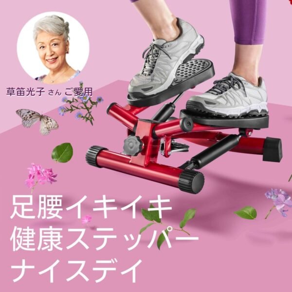 Shop Japan Official Health Stepper Nice Day with Dedicated Handle - Image 2