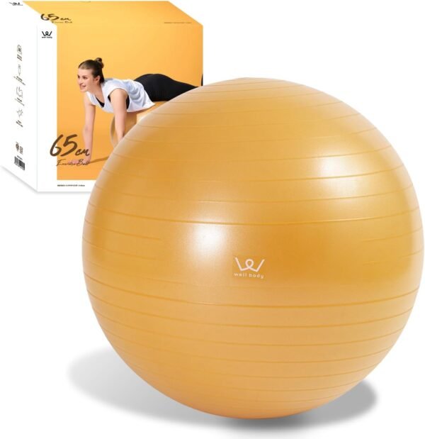 ALINCO WBN030 WBN055 WBN065 WBN075 Exercise Ball 11.8 inches (30 cm) / 21.7 inches (55 cm) / 25.6 inches (65 cm) / 29.5 inches (75 cm)