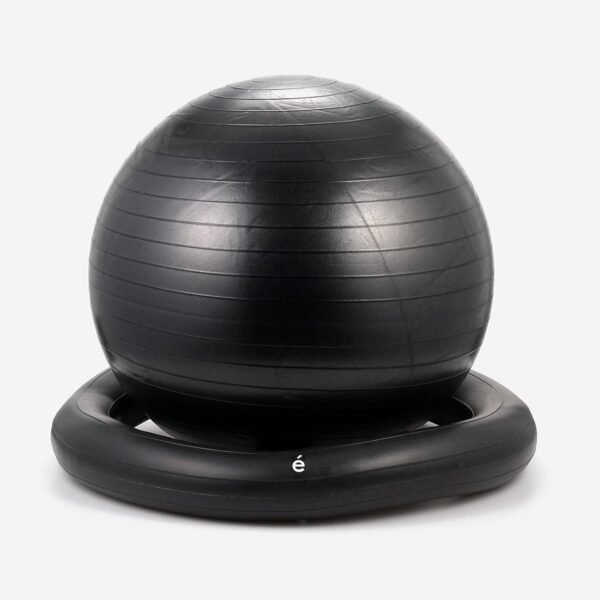 Sakurai Boeki Erugam Balance Ball, Waist 25.6 inches (65 cm), Stability Ring, Pump Included #54146 - Image 8